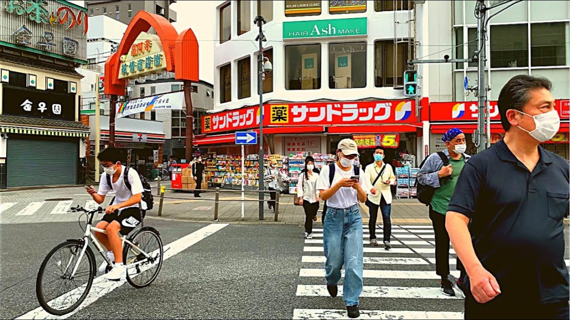 《4K》Morning Walk Koenji Station・Koenji Temple Tokyo Virtual Tour video 《4K》Morning Walk Koenji Station・Koenji Temple Tokyo Virtual Tour video