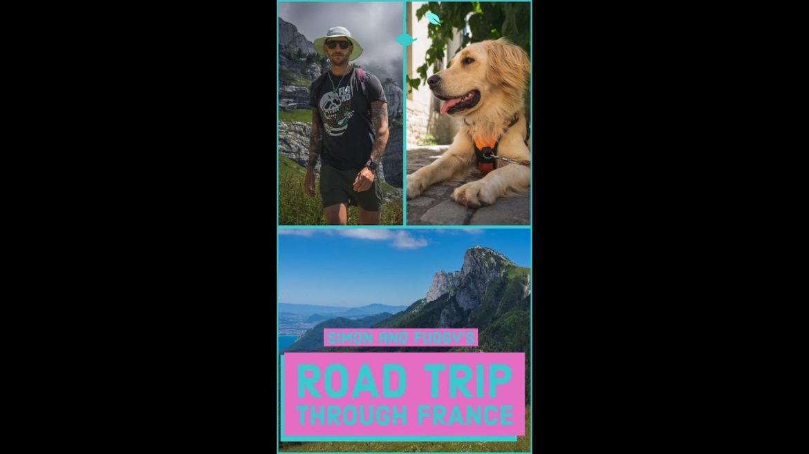 Simon and Fudgy go on a road trip through France