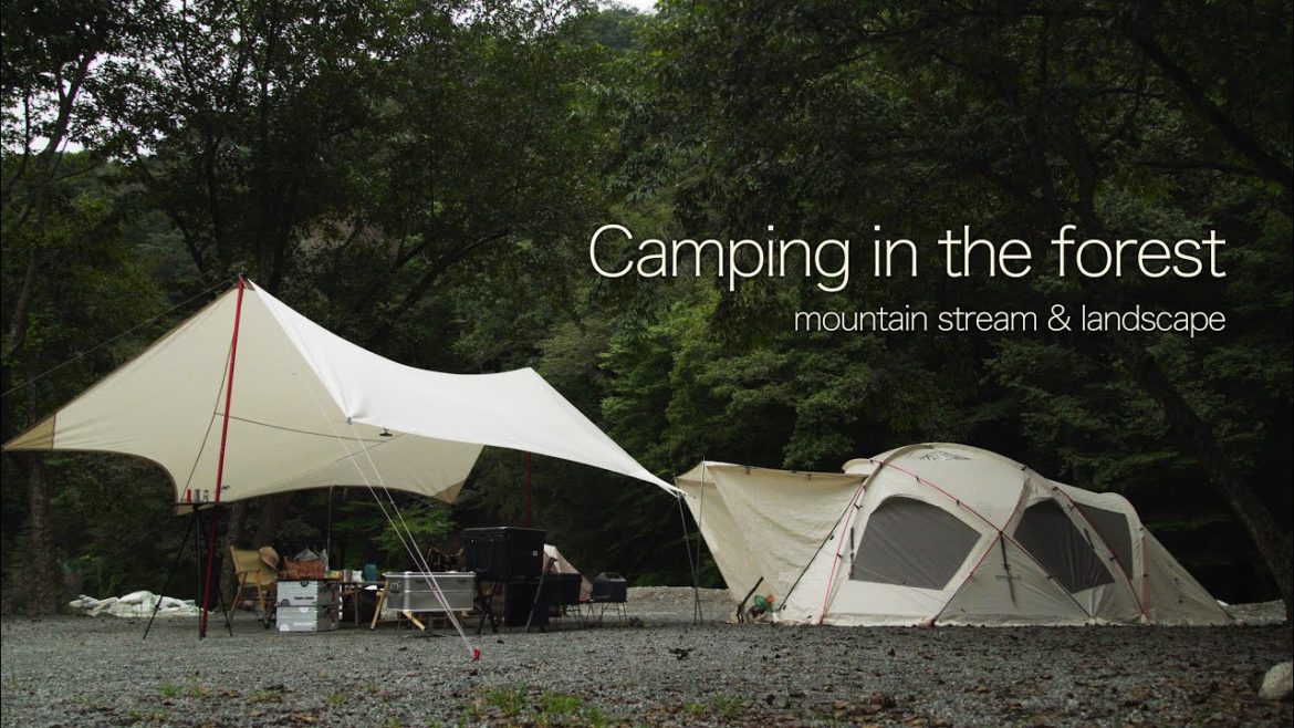 [4K] Relaxing camp at the riverside (ASMR, campfire, healed in the tarp, nature sounds)