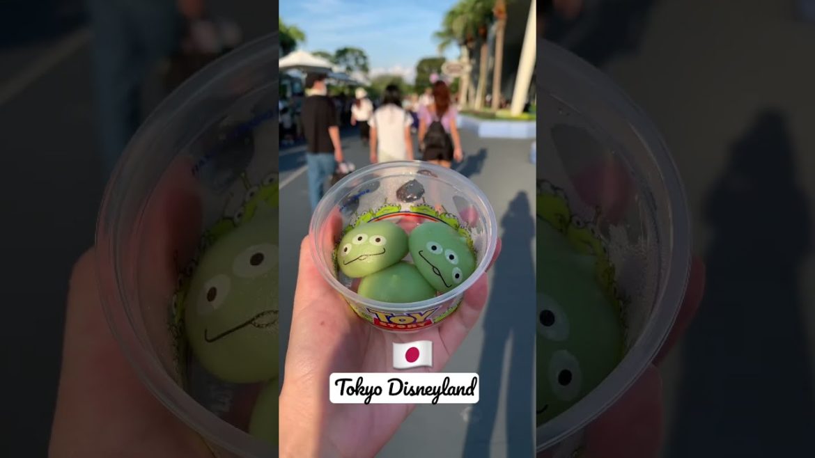 Tokyo Disneyland Food & Snacks - The Best of the Best