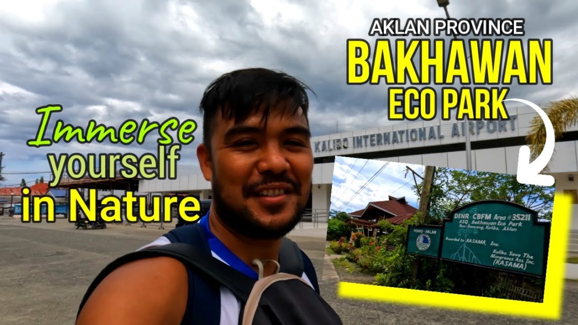 Philippines' most successful mangrove reforestation project!