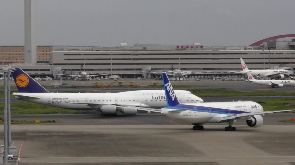 Tokyo Haneda Airport Japan Airlines A350
