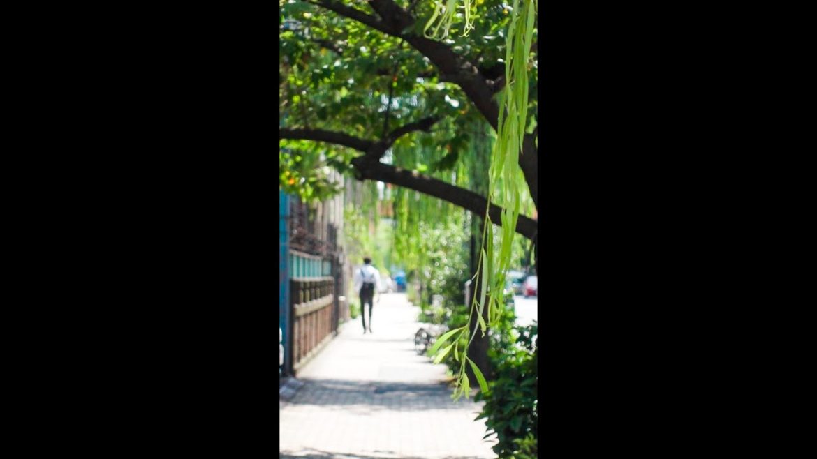 秋葉原から蔵前まで夏のお散歩 #shorts 秋葉原から蔵前まで夏のお散歩 #shorts