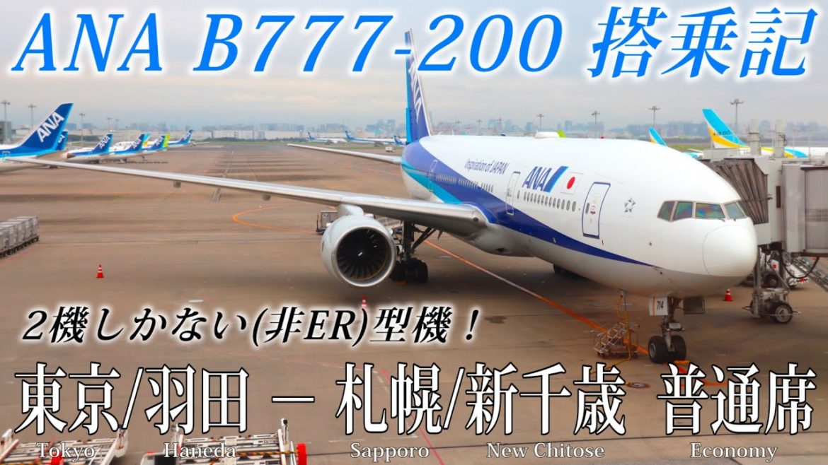 【ついに復活、誰もが知ってる大型機・2機しかない非ER型機に搭乗！】ANA B777-200(772)・旧式シート機 搭乗記 東京/羽田−札幌/新千歳