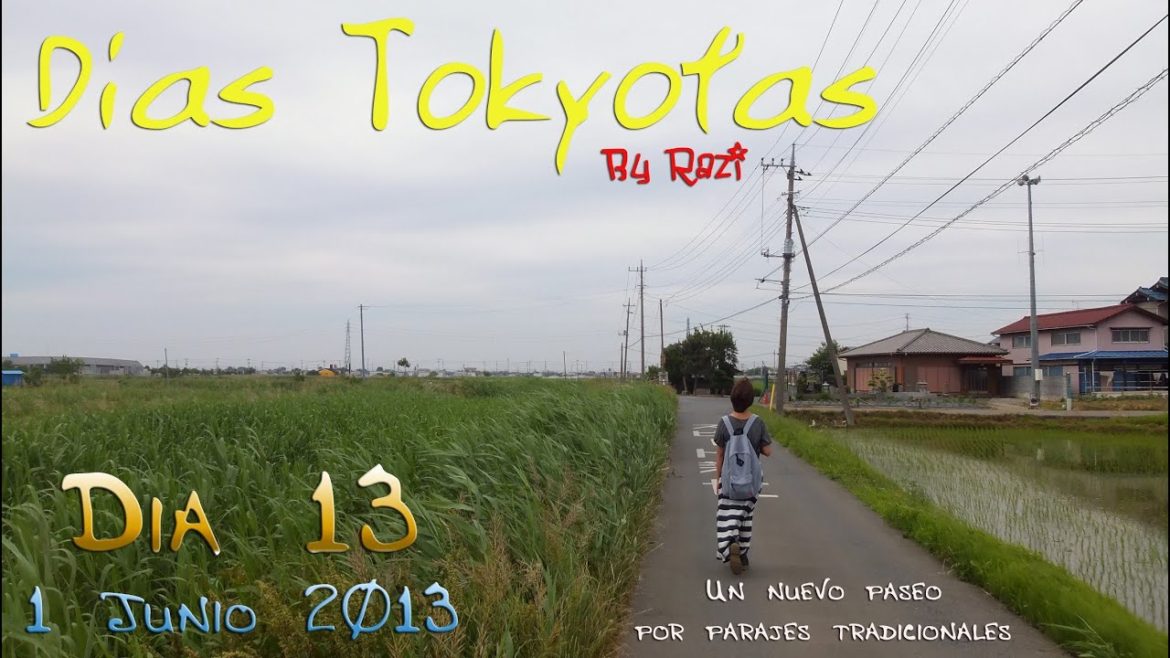 Dias Tokyotas (Dia 13) Nuevo paseo por Kawagoe