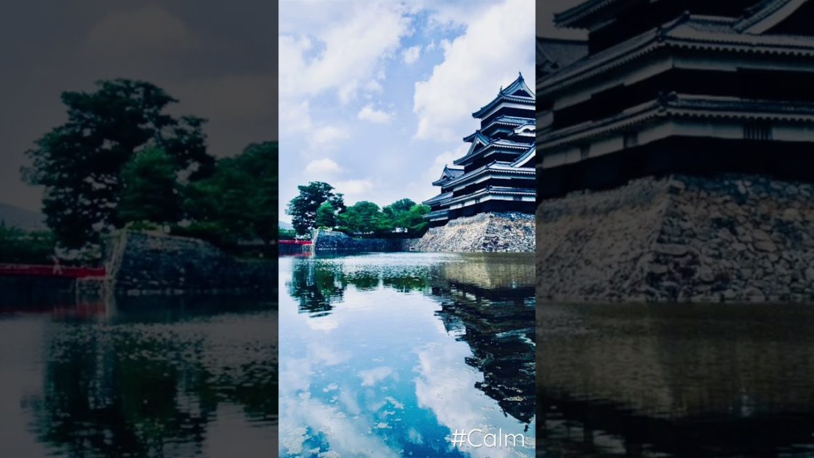 Little Tokyo Temple #dtla #relaxation #travelgram