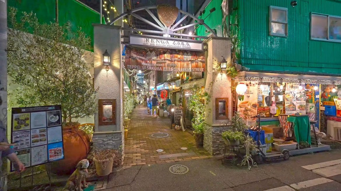 Night Tokyo Nakano rewalk・4K HDR