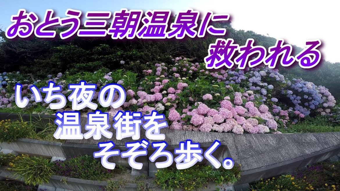 甲斐犬いち、三朝温泉街を夜のお散歩!車中泊の旅! 甲斐犬いち、三朝温泉街を夜のお散歩!車中泊の旅!