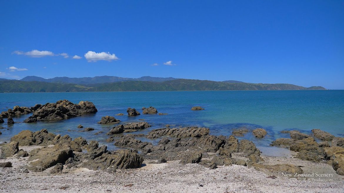4K Coast & Bays Wellington.  NEW ZEALAND ニュージーランド 紐西蘭 Part 33