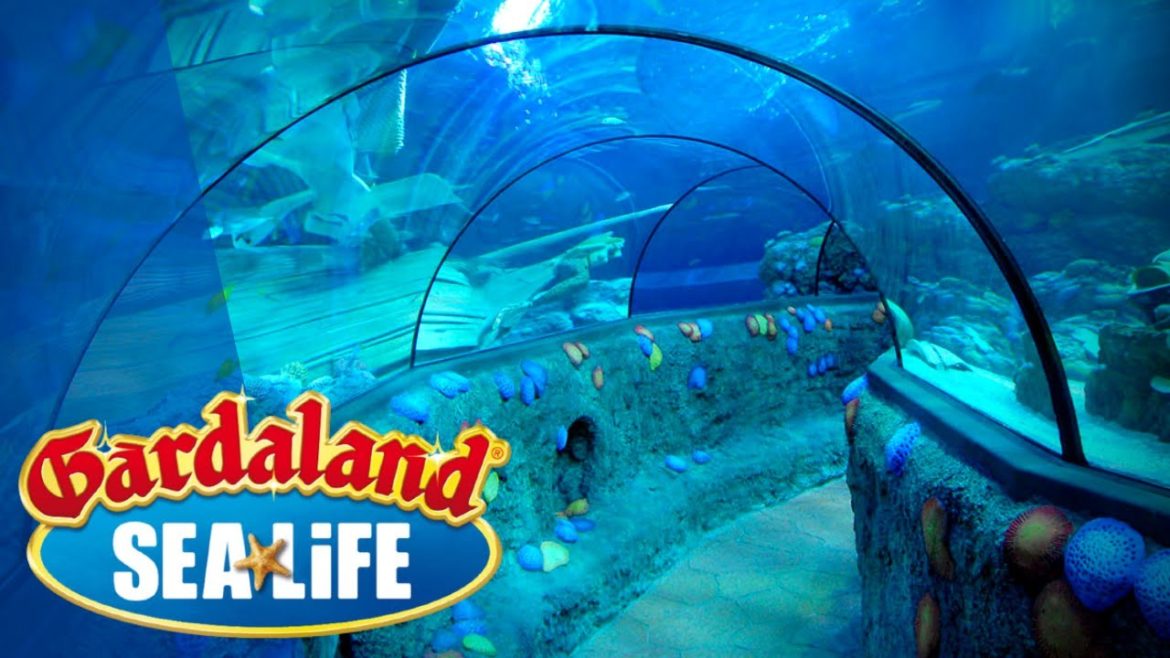 4K Virtual Tour 🐠 Gardaland SEA LIFE Aquarium 🐠 Castelnuovo del Garda 🐠 Verona, Veneto 🐠 Italia