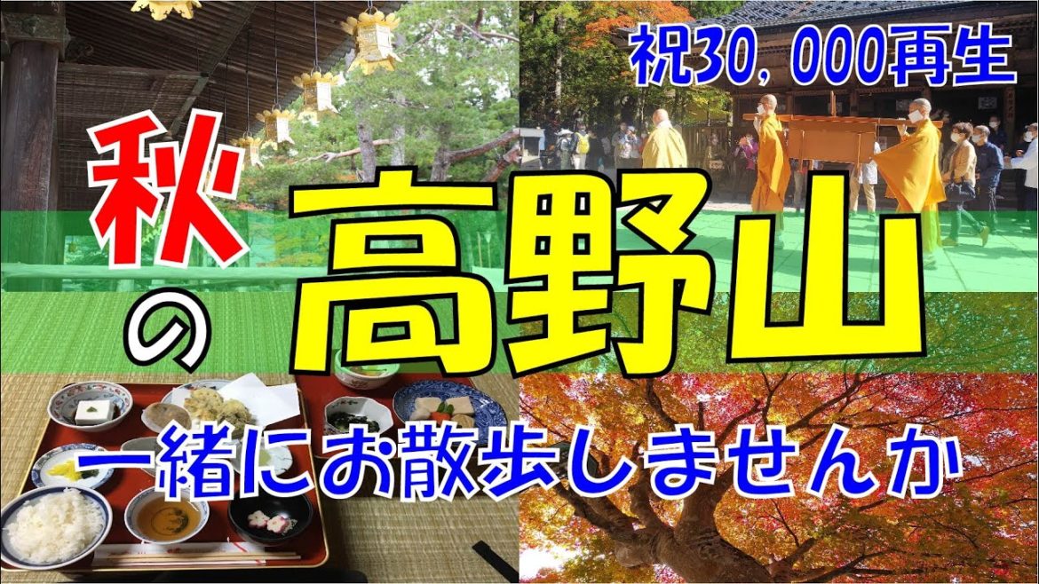 高野山 60分ガイド散歩【和歌山県伊都郡高野町】 高野山 60分ガイド散歩【和歌山県伊都郡高野町】