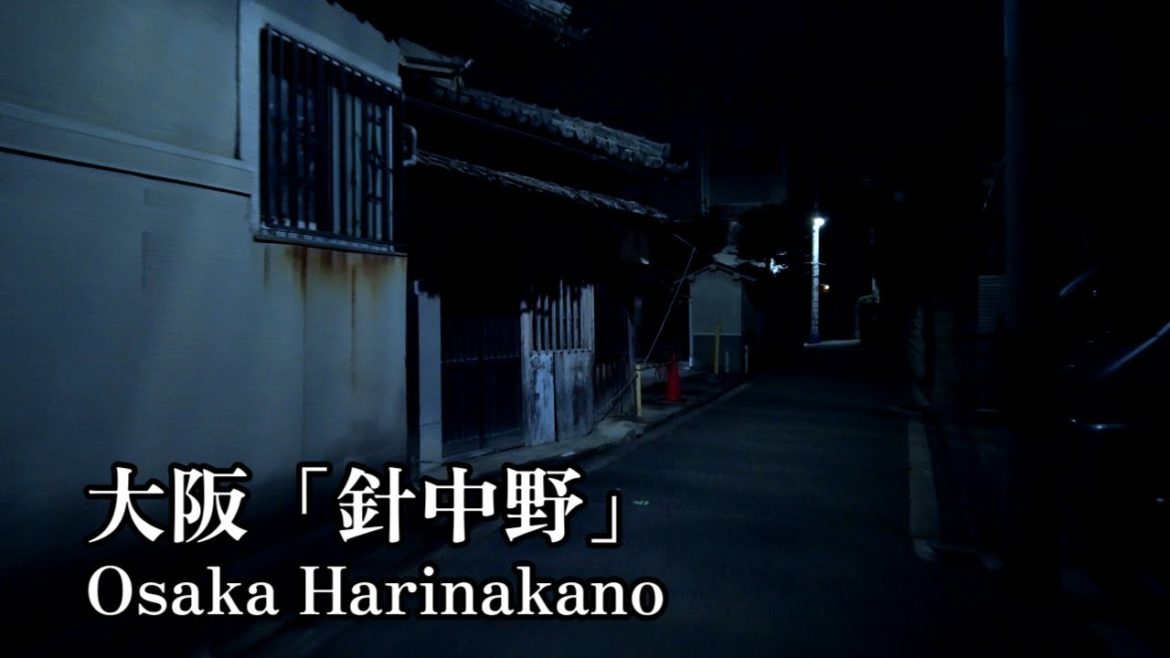 late-night wandering Japan | Walking in Harinakano, Osaka. late-night wandering Japan | Walking in Harinakano, Osaka.