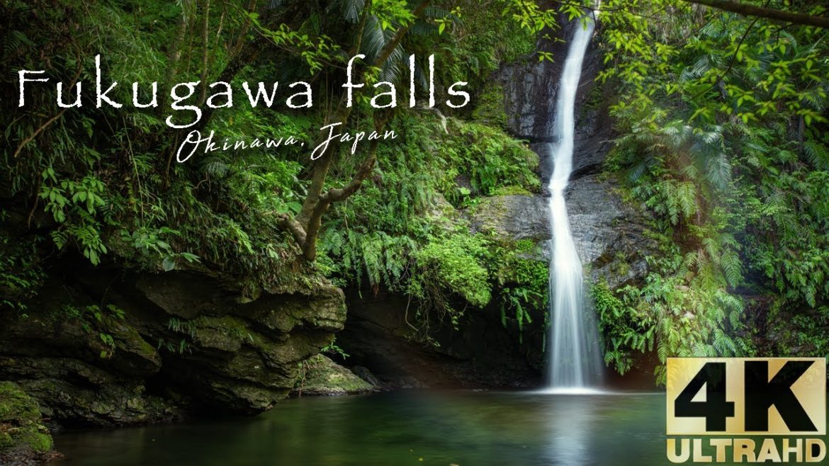 Japan's most beautiful waterfalls : Fukugawa waterfall Okinawa Japan