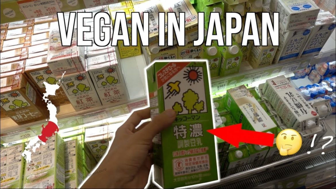 VEGAN IN JAPAN ∙ Ist es so schwer?! ∙ Food Diary