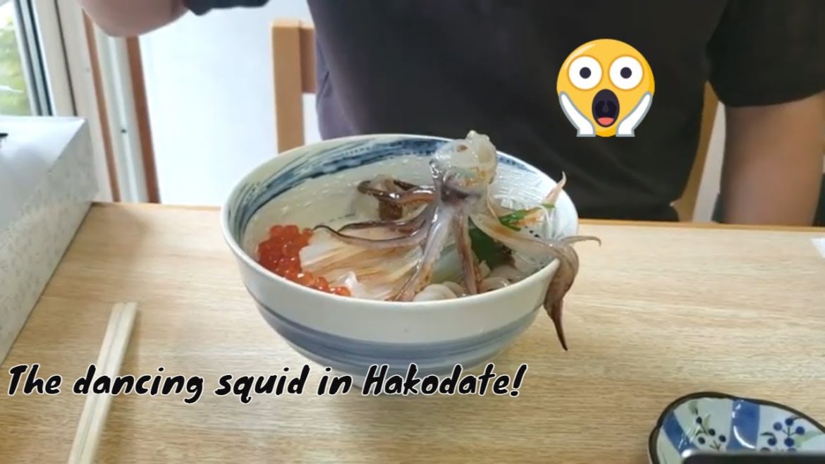 Hokkaido 1st Vlog: First stop for our long summer vacation in Hokkaido: Hakodate. Hokkaido 1st Vlog: First stop for our long summer vacation in Hokkaido: Hakodate.