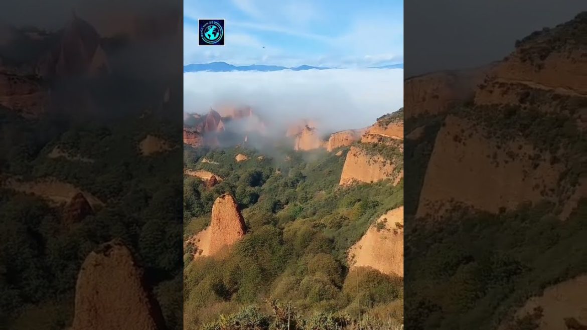 ๐๐ข๐ด ๐๐ฆ๐ฅ๐ถ๐ญ๐ข๐ด | ๐๐ฑ๐ข๐ช๐ฏ ๐ช๐ธ ๐๐ข๐ด ๐๐ฆ๐ฅ๐ถ๐ญ๐ข๐ด | ๐๐ฑ๐ข๐ช๐ฏ ๐ช๐ธ