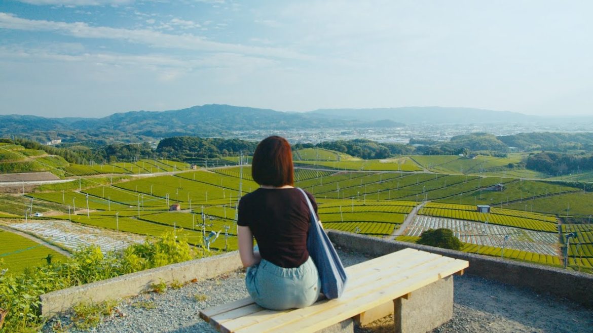 Yame tea town in Fukuoka prefecture Yame tea town in Fukuoka prefecture