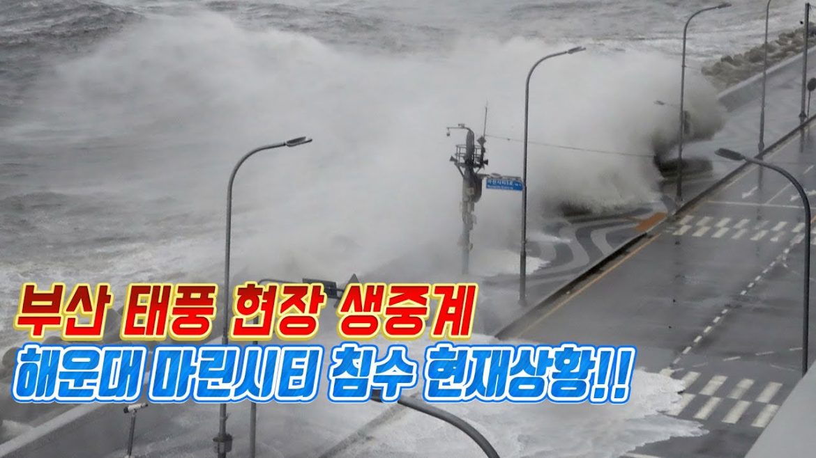 LIVE)실시간 부산 광안리 슈퍼 태풍 힌남노 부산 태풍 피해 현장 생중계 실제상황!! 일본 도쿄 후쿠오카 오사카 japan travel tokyo osaka