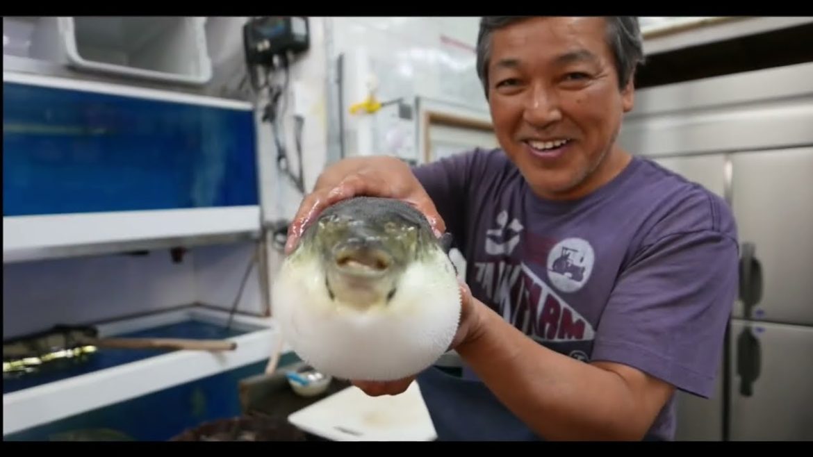 FUGU Puffer Fish Japanese Street Food