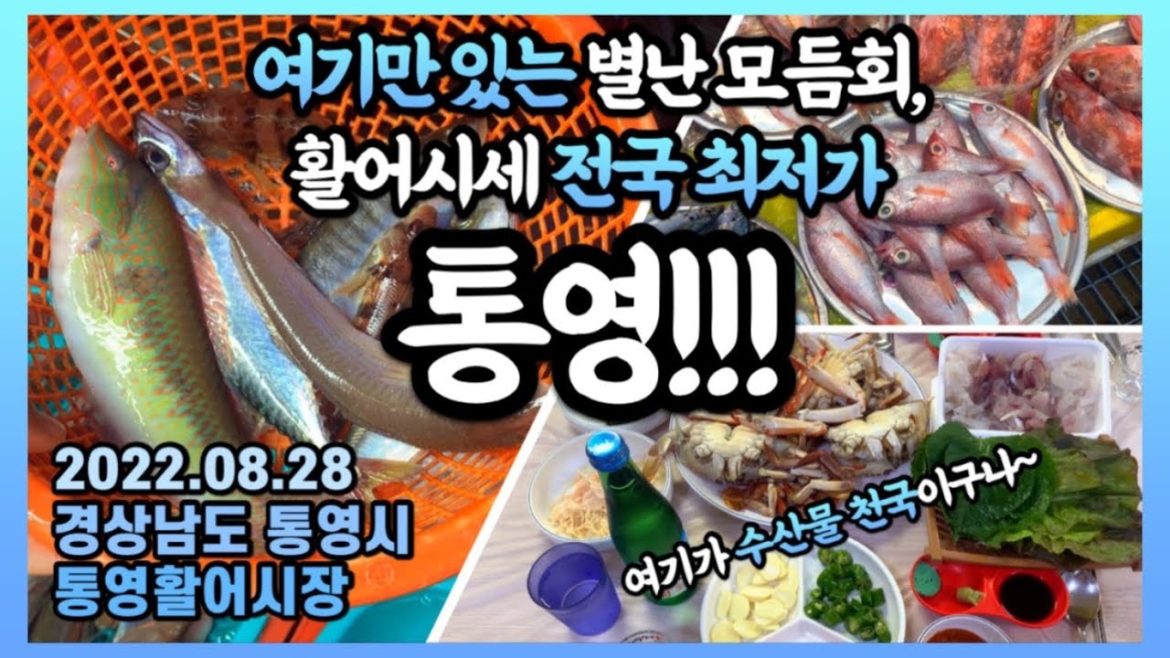 이제 그만 주세요😭전국에서 가장 횟값이 싼 통영에서 ‘아주 값싸고,특별한’ 제철 모듬회 맛보기. 이제 그만 주세요😭전국에서 가장 횟값이 싼 통영에서 ‘아주 값싸고,특별한’ 제철 모듬회 맛보기.