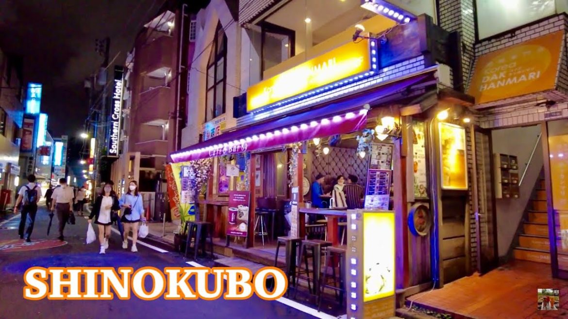 【🇯🇵4K】Tokyo night walking ~ SHINOKUBO ASIAN AREA ~ 【新大久保】