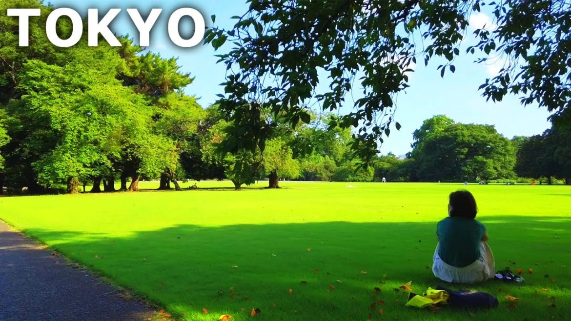 [Tokyo Walk] Shinjuku Gyoen to the nearby station. Through the lawn field (Aug. 2022)