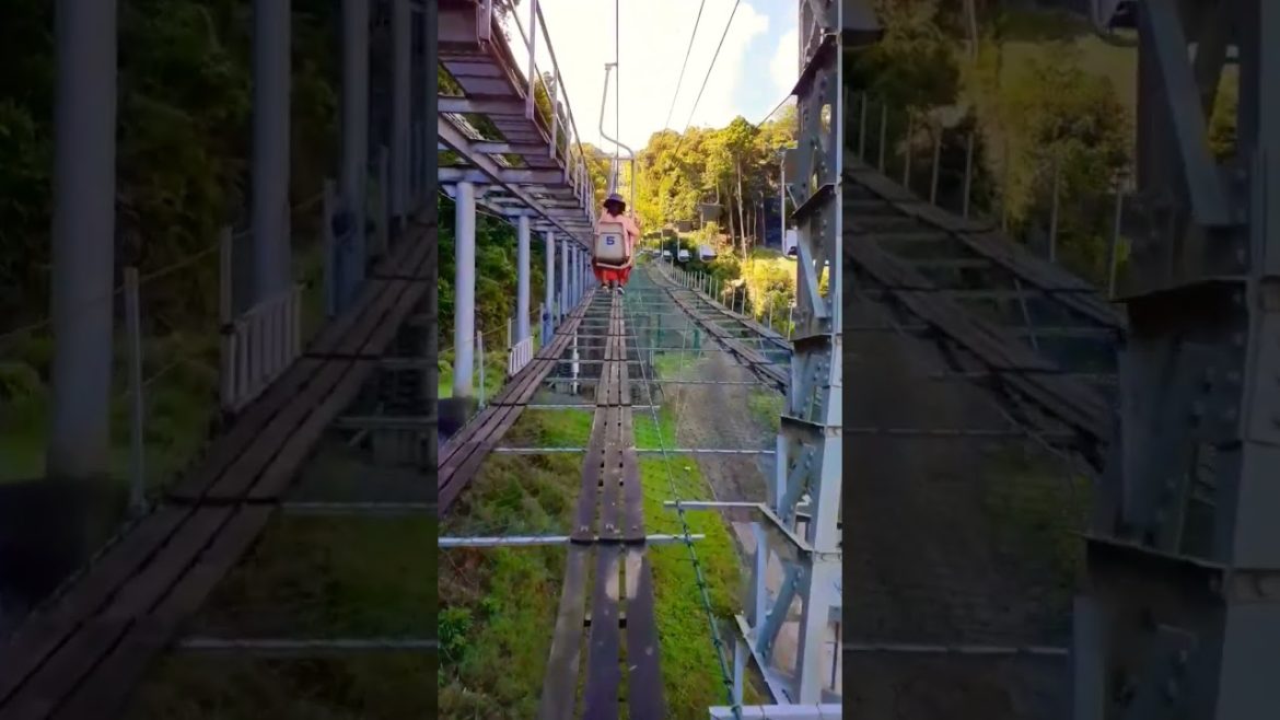 これは日本語で何ですか。教えてね。#japan #japantravel #foryou #youtubeshorts #video