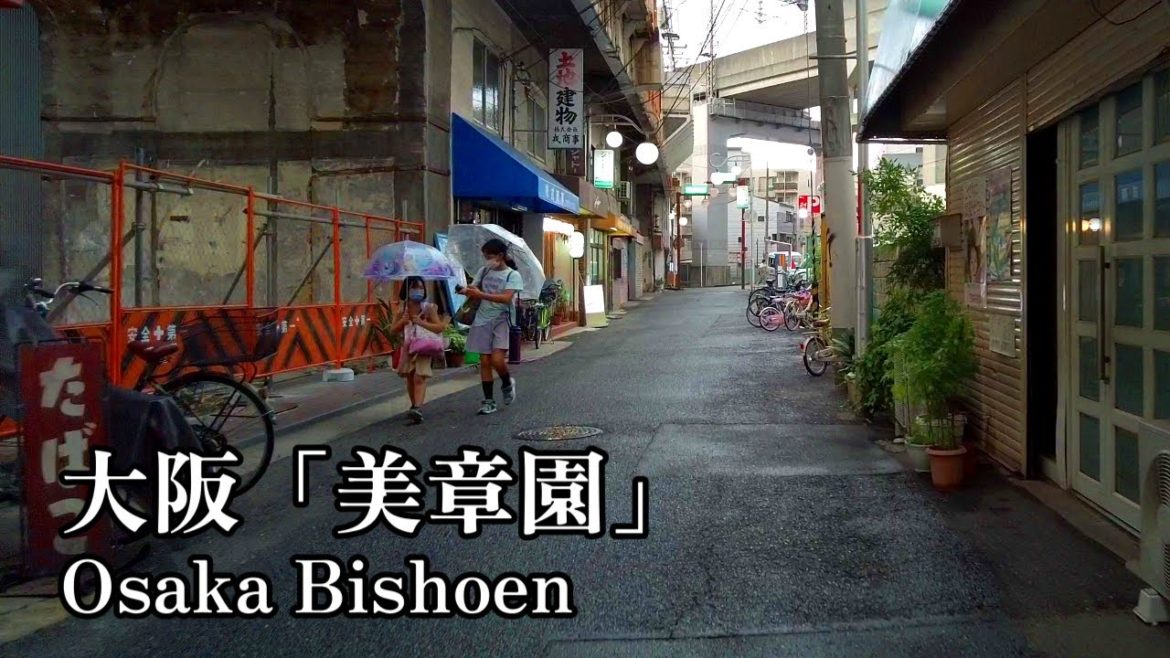 Rain walking Japan | Rainy Osaka "Bishoen"