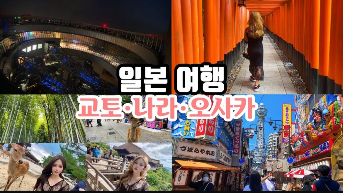 일본 브이로그❤️ 2박3일로 한번에 교토, 나라, 오사카 여행/랜선 여행/아라시야마/센본토리이⛩/츠텐카쿠/도톤보리/사슴이 많이 사는 나라공원✨japan trip-kyoto