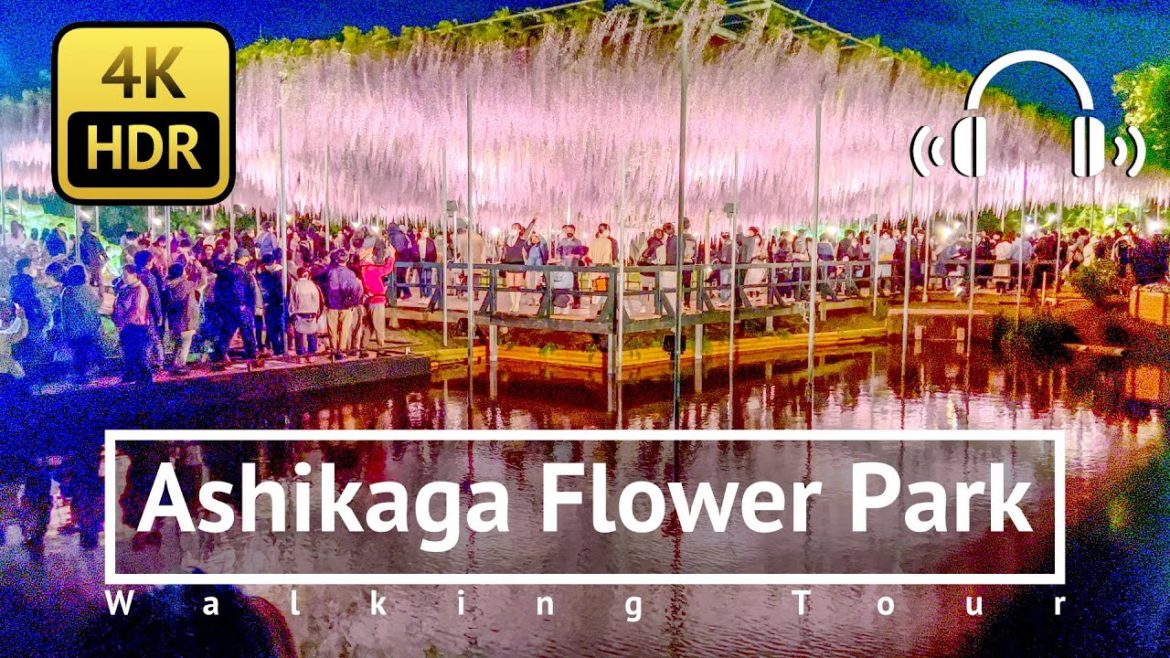 [4K/HDR/Binaural] Stunning Spring Illuminations Ashikaga Flower Park Walking Tour - Tochigi Japan