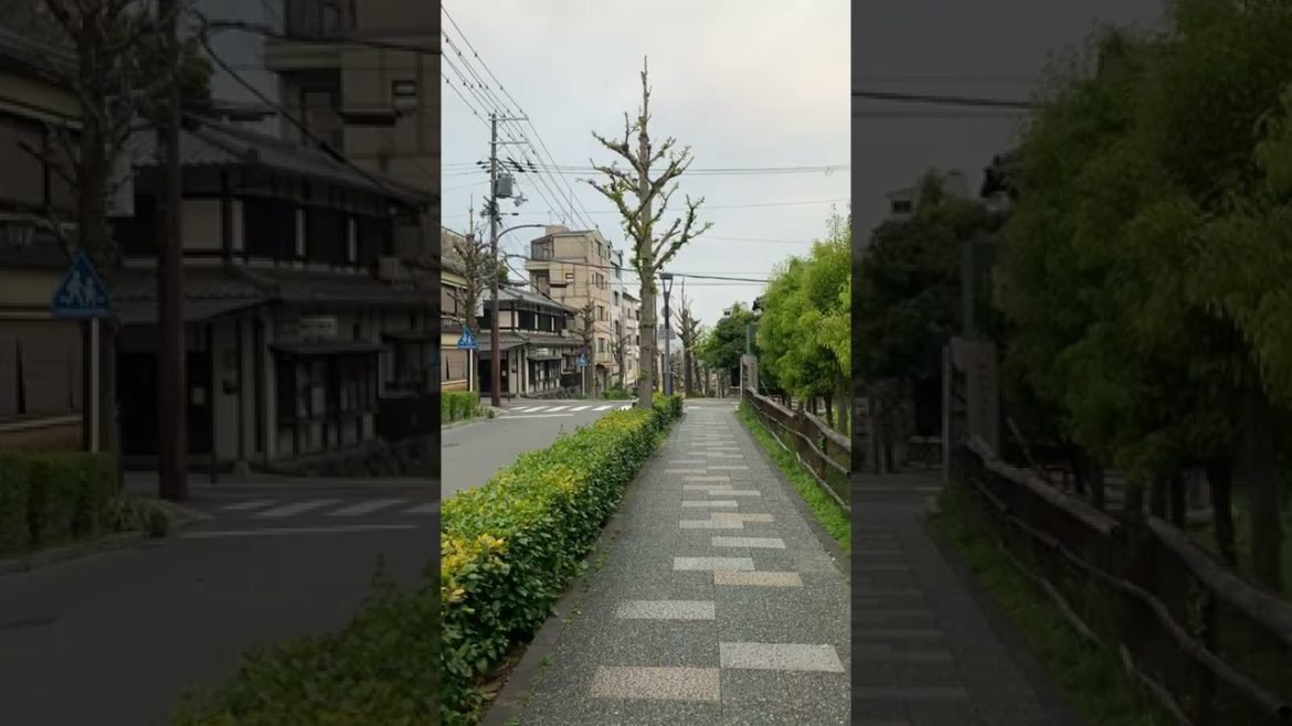 Walking Through Gion District Kyoto, Japan #shorts Walking Through Gion District Kyoto, Japan #shorts