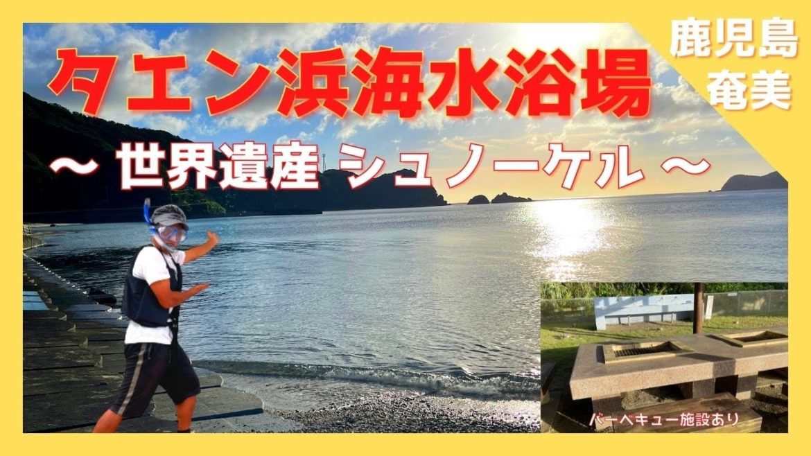 【 奄美大島 鹿児島 】『タエン浜』タエン浜海水浴場 / 焼内湾 /シュノーケル スポット / 宇検村【Japan World Heritage / Kagoshima amami oshima 】 【 奄美大島 鹿児島 】『タエン浜』タエン浜海水浴場 / 焼内湾 /シュノーケル スポット / 宇検村【Japan World Heritage / Kagoshima amami oshima 】