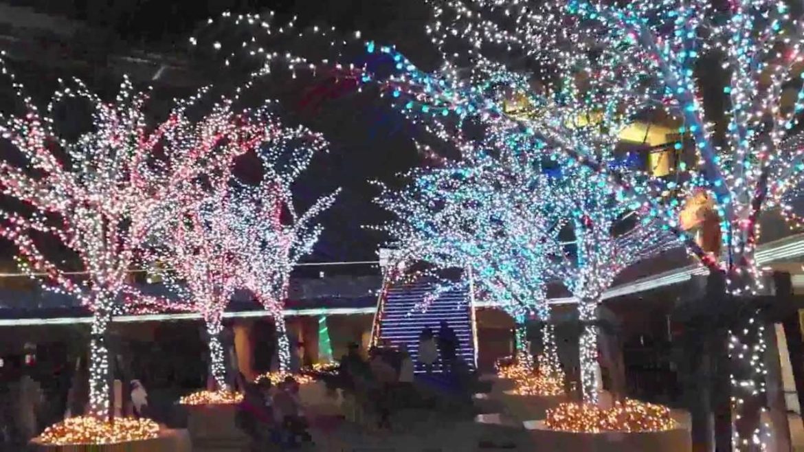 横浜みなとみらいクリスマスイルミネーション2013 / Yokohama Minatomirai Christmas illumination 横浜みなとみらいクリスマスイルミネーション2013 / Yokohama Minatomirai Christmas illumination