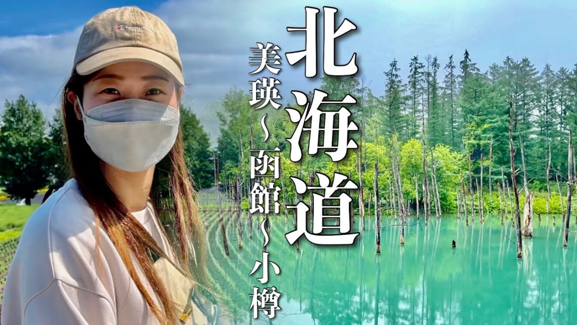 【走行距離800km】2日間で北海道を大移動!道中のグルメや観光もたっぷり【N-BOX 車中泊】 【走行距離800km】2日間で北海道を大移動!道中のグルメや観光もたっぷり【N-BOX 車中泊】