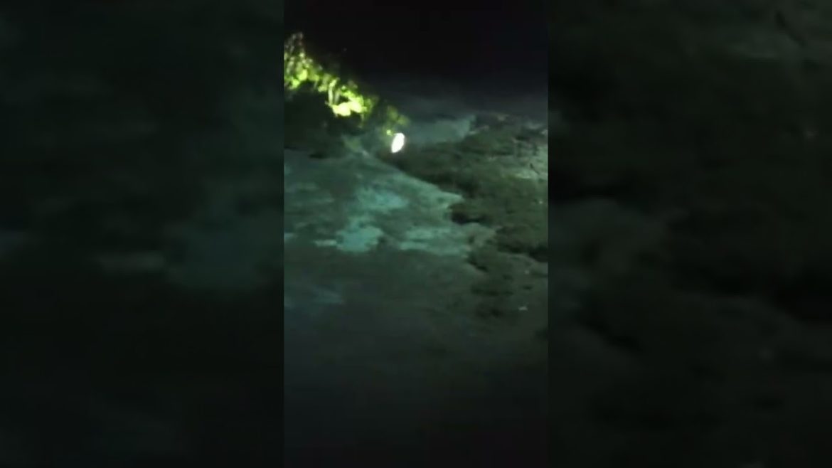 My Japan Trip – I enjoyed MOUNT Aso in Kumamoto. #shorts My Japan Trip - I enjoyed MOUNT Aso in Kumamoto. #shorts