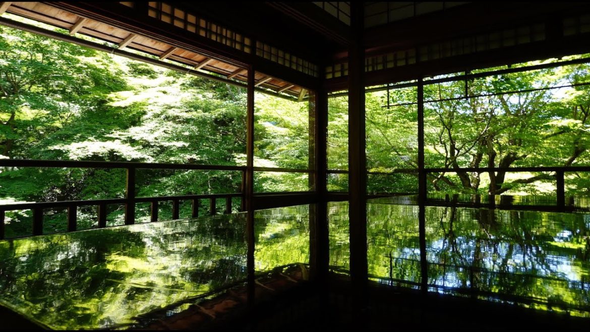 Hidden Spot |The Second-Timer's Travel Guide to Kyoto & Kinosaki Onsen Town