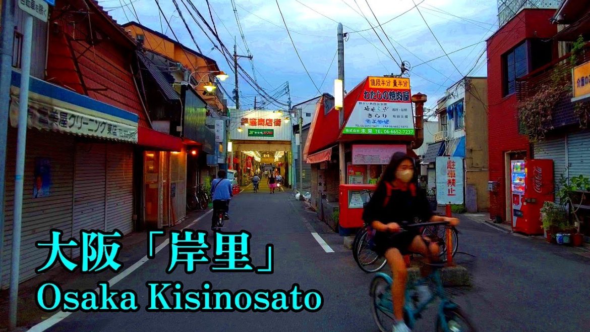 Japan | Walking through the back alleys of "Kishi-no-Sato" in Osaka in the evening darkness.