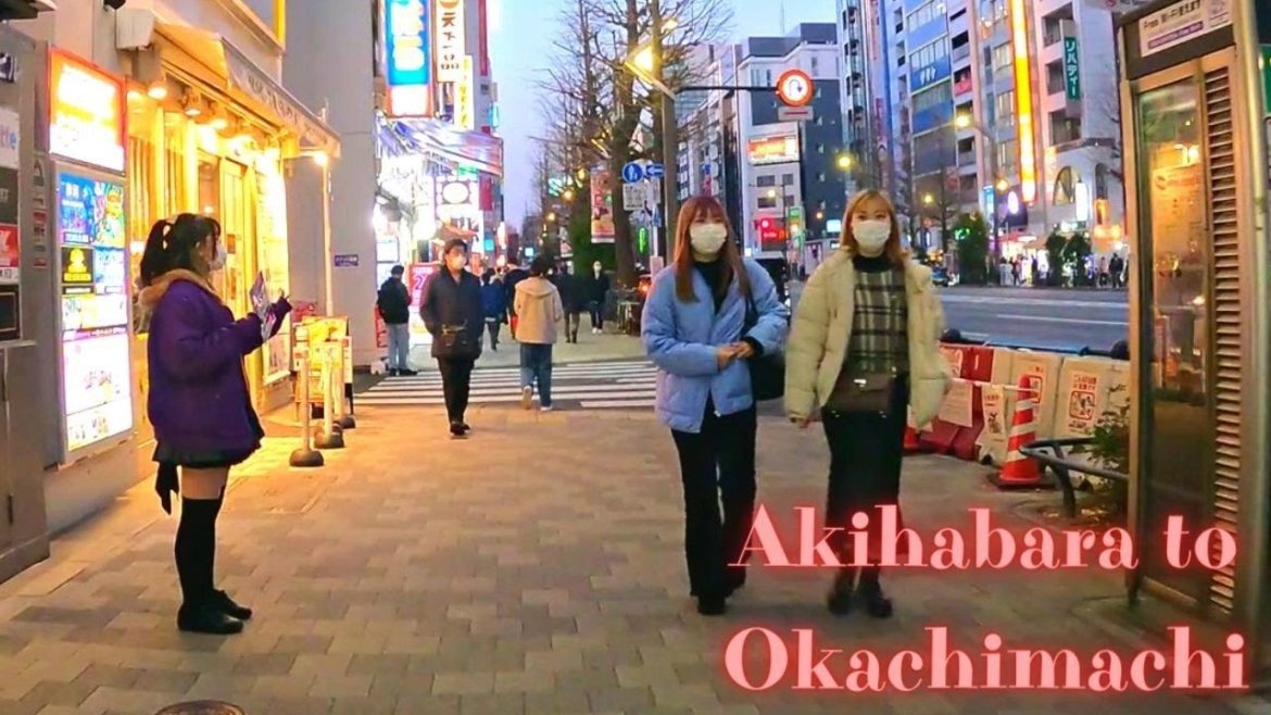 Akihabara to Okachimachi. Tokyo walking tour.【4K】2.2022