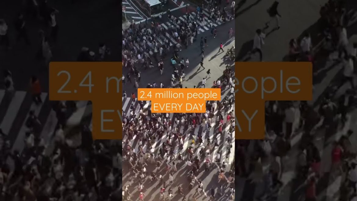 #amazing #iphone #Tokyo #travel #Japan #shorts #youtubeshorts #short