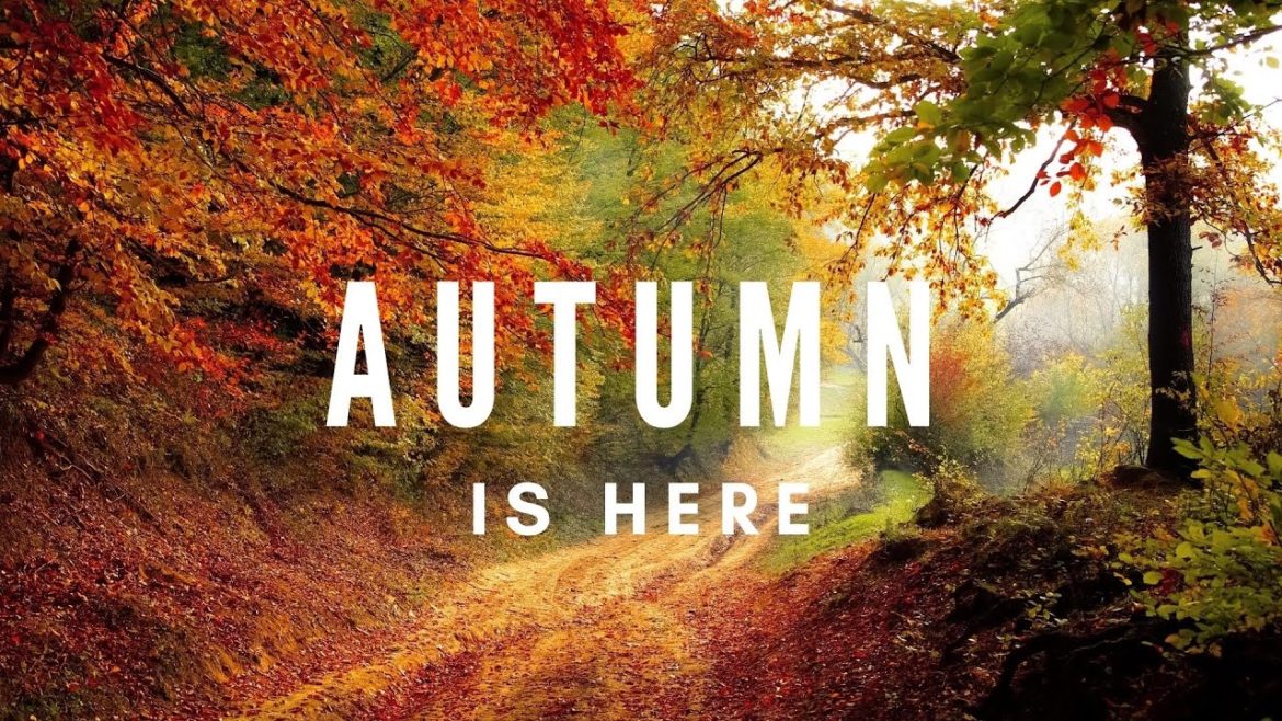 Best Autumn Destinations 2022,  Autumn Leaves, Autumn Season, Epic Classical Music
