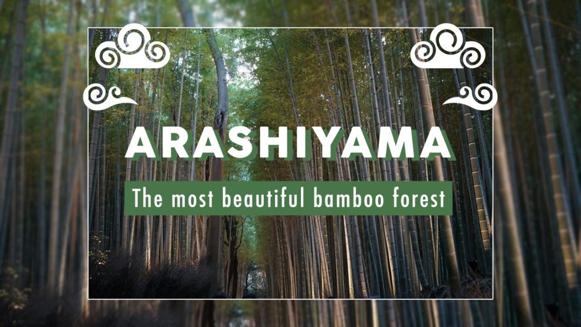 The Most Beautiful Bamboo Forest - Arashiyama