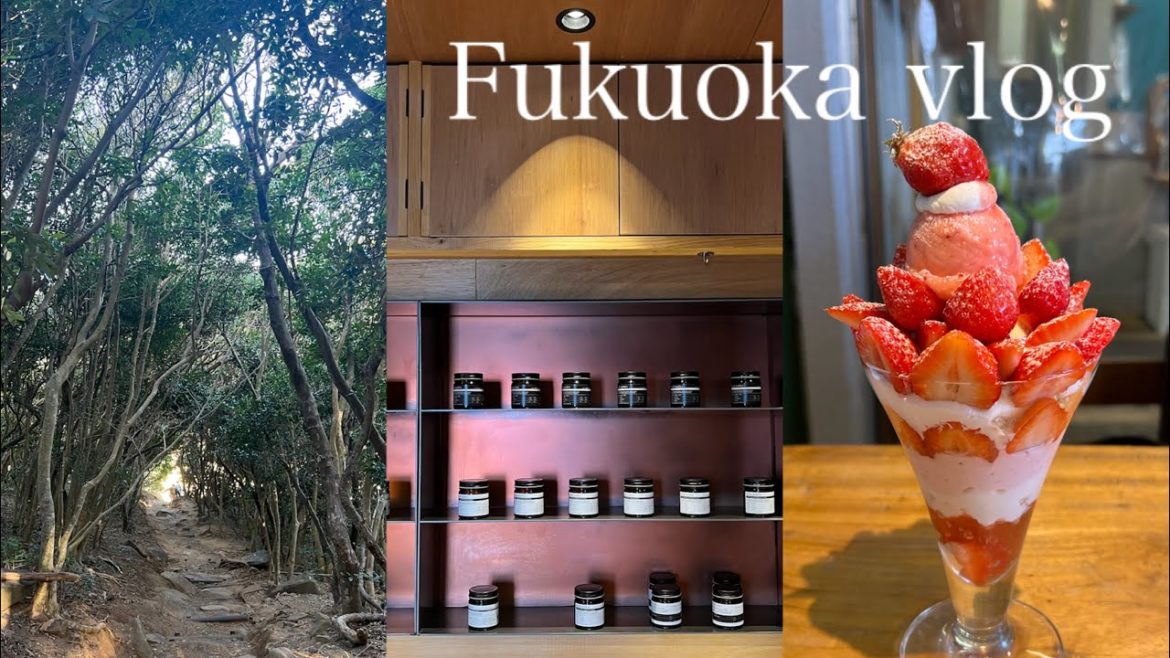 【旅行vlog】福岡旅｜コーヒー屋を巡る｜グルメ｜自然