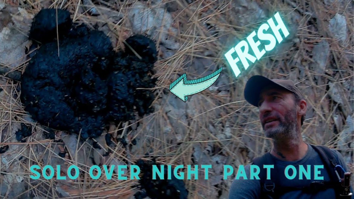 Solo Over Night: A Bushcraft Disaster – Part One Solo Over Night: A Bushcraft Disaster - Part One