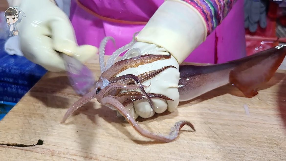 street food asmr food fish cutting korean food asian seafood korea sashimi making video 310822 02