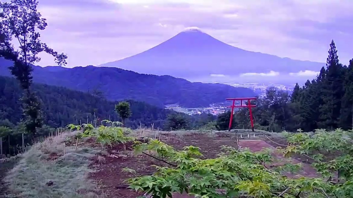 Mt  Fuji Time Lapse Video from Lake Kawaguchi Fujiyama Live Camera 38 in 2022 8