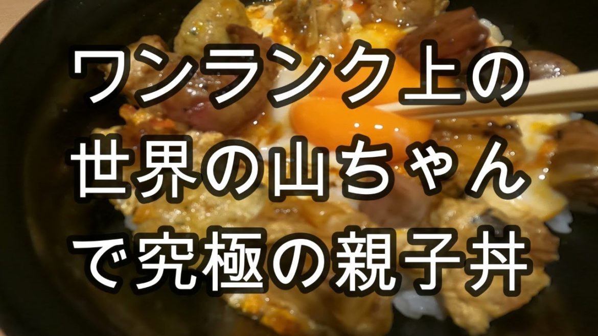 【名古屋絶品グルメ】鶏を極めた！究極のランチ！