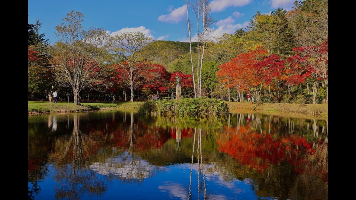 8K HDR 北海道 福原山荘の紅葉 地元だけが知っている紅葉期限定の庭園 Hokkaido, Autumn Leaves at Fukuhara Villa