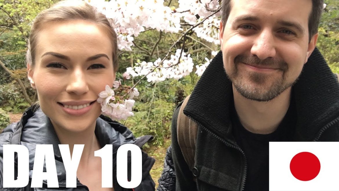 Owl Cafe, Kyoto. [Japan, Day 10]