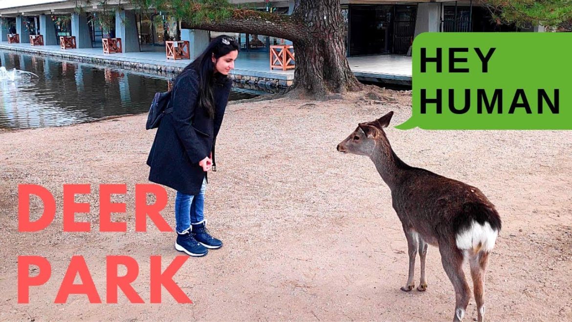 DAY 1 NARA | NARA, KYOTO, OSAKA | JAPAN