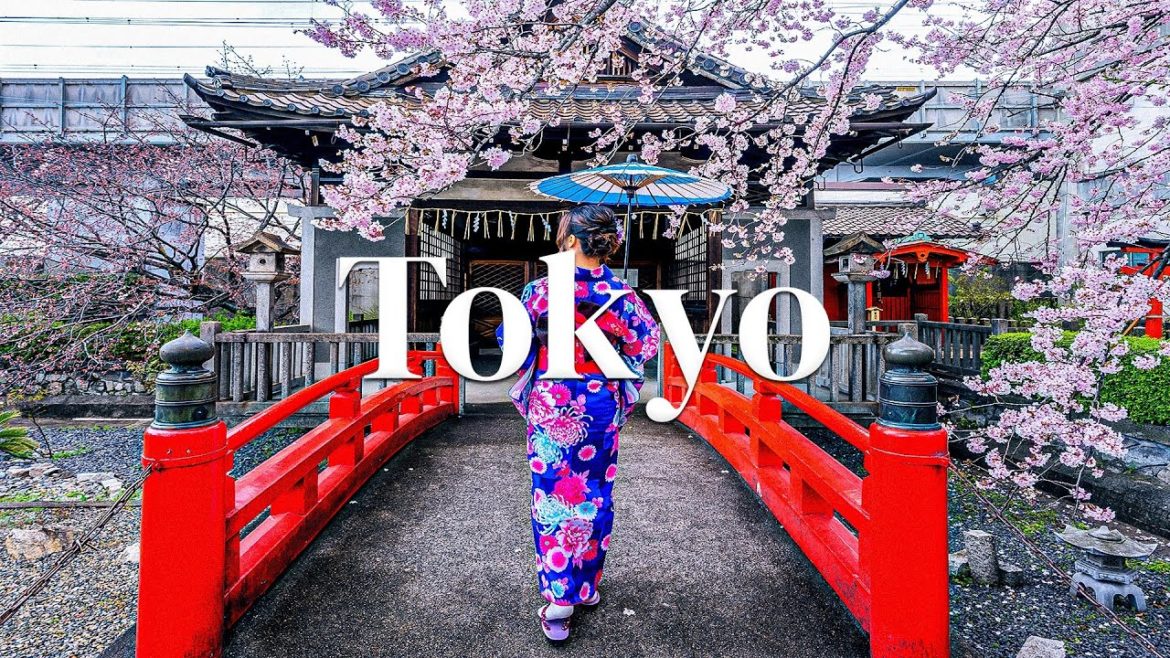 Tokyo Vlog: Cinematic Travel Video – 4K | Travel Vlog | Japan Tokyo Vlog: Cinematic Travel Video - 4K | Travel Vlog | Japan